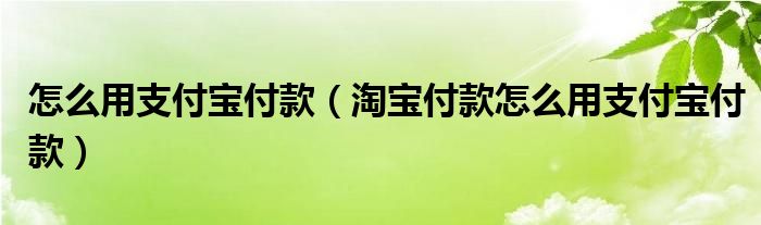 怎么用支付宝付款（淘宝付款怎么用支付宝付款）