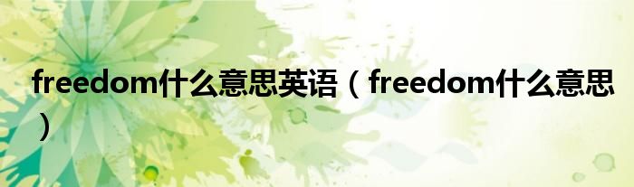 freedom什么意思英语（freedom什么意思）