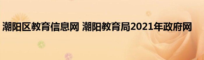 潮阳区教育信息网 潮阳教育局2021年政府网