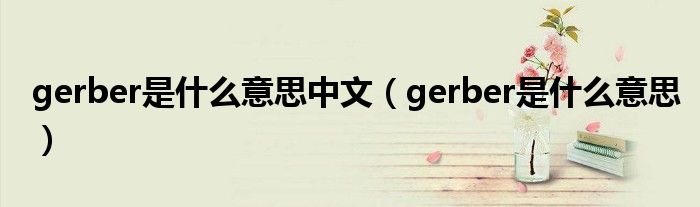 gerber是什么意思中文（gerber是什么意思）