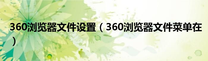 360浏览器文件设置（360浏览器文件菜单在）