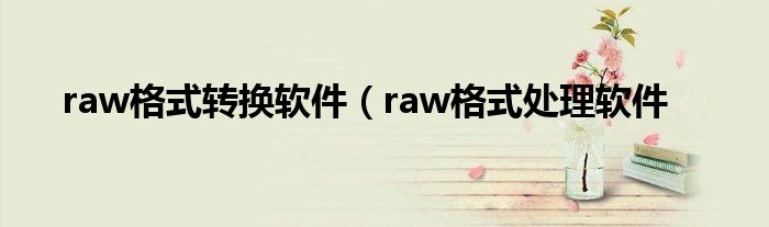 raw格式转换软件（raw格式处理软件