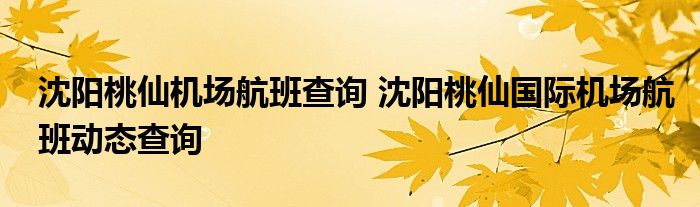 沈阳桃仙机场航班查询 沈阳桃仙国际机场航班动态查询