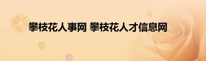 攀枝花人事网 攀枝花人才信息网