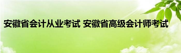 安徽省会计从业考试 安徽省高级会计师考试