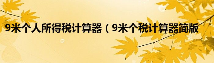 9米个人所得税计算器（9米个税计算器简版