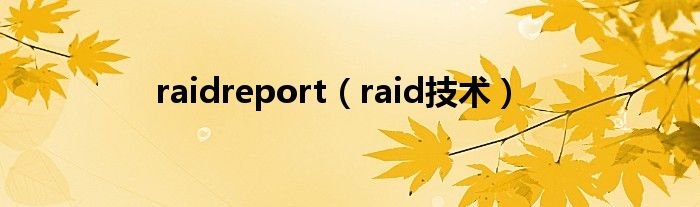 raidreport（raid技术）