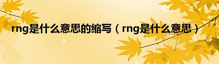 rng是什么意思的缩写（rng是什么意思）