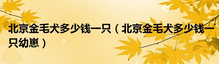 北京金毛犬多少钱一只（北京金毛犬多少钱一只幼崽）