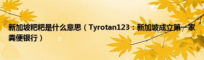 新加坡粑粑是什么意思（Tyrotan123：新加坡成立第一家粪便银行）