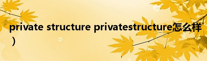 private structure privatestructure怎么样）