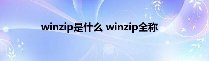 winzip是什么 winzip全称