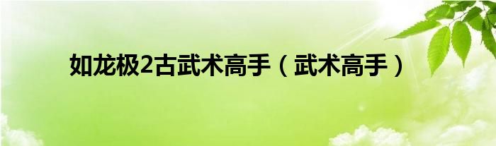 如龙极2古武术高手（武术高手）