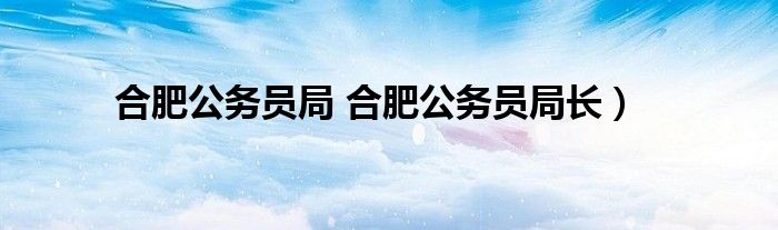 合肥公务员局 合肥公务员局长）