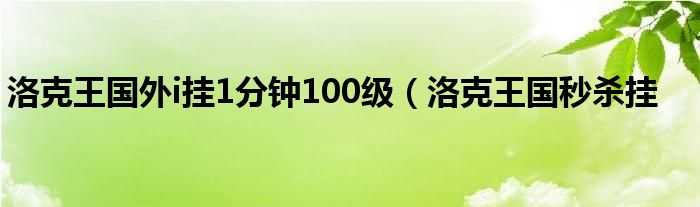 洛克王国外i挂1分钟100级（洛克王国秒杀挂