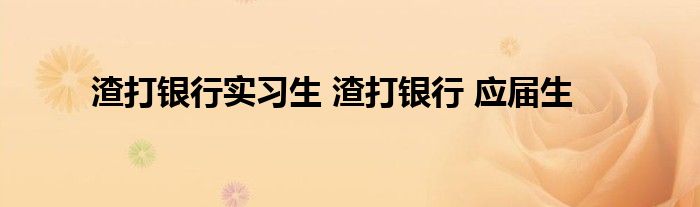 渣打银行实习生 渣打银行 应届生