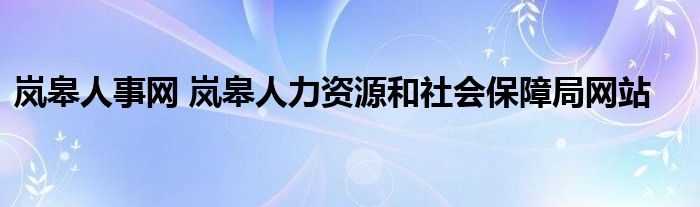 岚皋人事网 岚皋人力资源和社会保障局网站