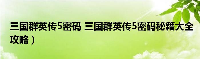 三国群英传5密码 三国群英传5密码秘籍大全攻略）