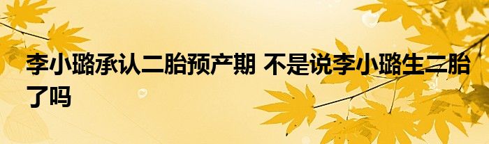 李小璐承认二胎预产期 不是说李小璐生二胎了吗