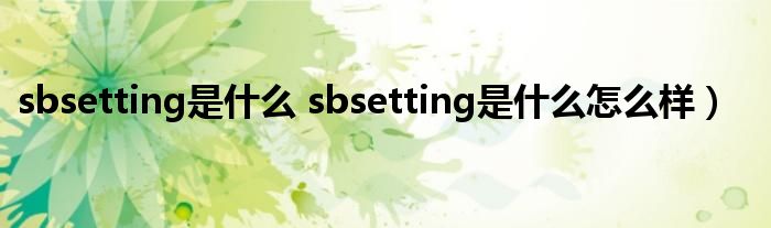 sbsetting是什么 sbsetting是什么怎么样）