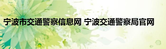 宁波市交通警察信息网 宁波交通警察局官网