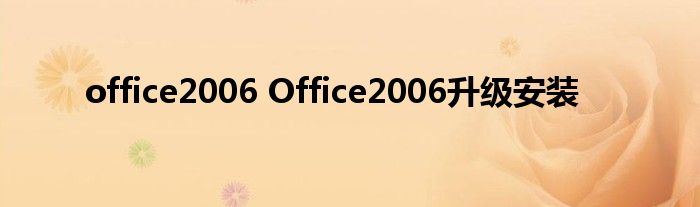 office2006 Office2006升级安装