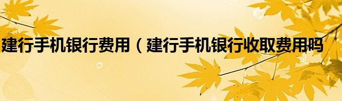 建行手机银行费用（建行手机银行收取费用吗