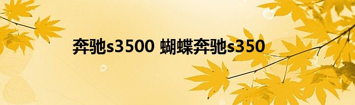 奔驰s3500 蝴蝶奔驰s350