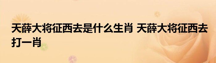 天薛大将征西去是什么生肖 天薛大将征西去打一肖