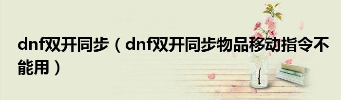 dnf双开同步（dnf双开同步物品移动指令不能用）