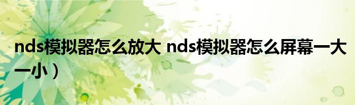 nds模拟器怎么放大 nds模拟器怎么屏幕一大一小）