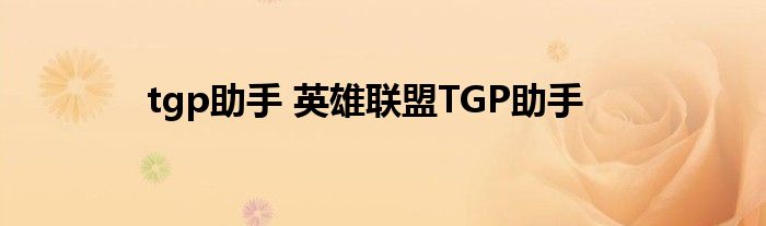 tgp助手 英雄联盟TGP助手