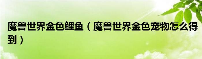 魔兽世界金色鲤鱼（魔兽世界金色宠物怎么得到）