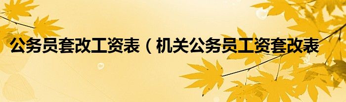 公务员套改工资表（机关公务员工资套改表