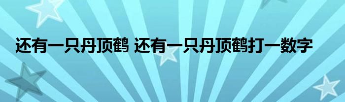 还有一只丹顶鹤 还有一只丹顶鹤打一数字