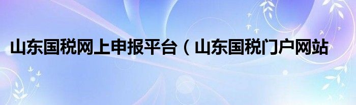 山东国税网上申报平台（山东国税门户网站