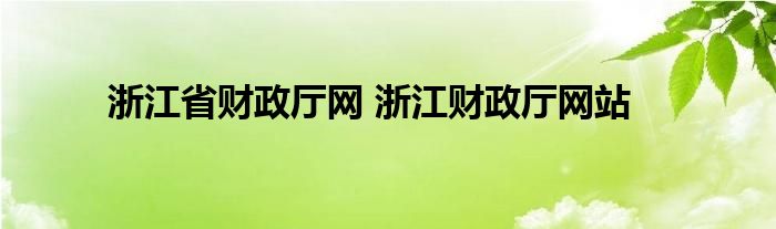 浙江省财政厅网 浙江财政厅网站