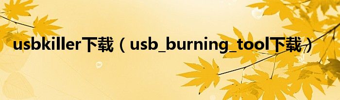 usbkiller下载（usb_burning_tool下载）