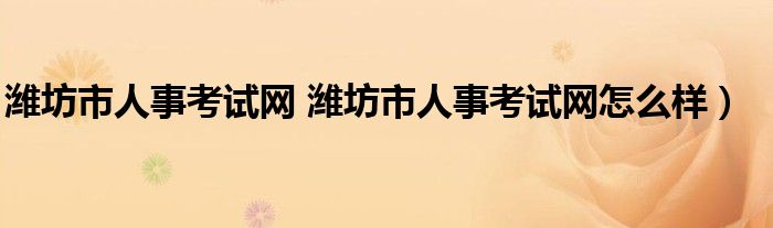 潍坊市人事考试网 潍坊市人事考试网怎么样）