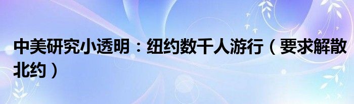 中美研究小透明：纽约数千人游行（要求解散北约）