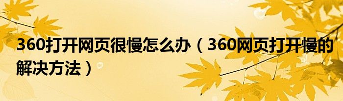 360打开网页很慢怎么办（360网页打开慢的解决方法）