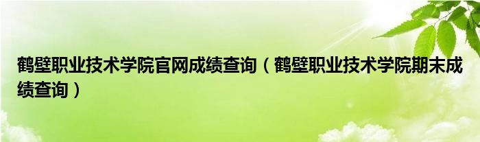 鹤壁职业技术学院官网成绩查询（鹤壁职业技术学院期末成绩查询）