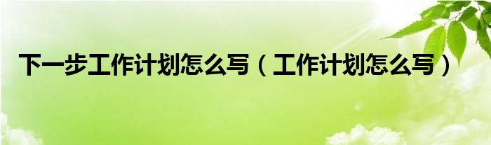 下一步工作计划怎么写（工作计划怎么写）