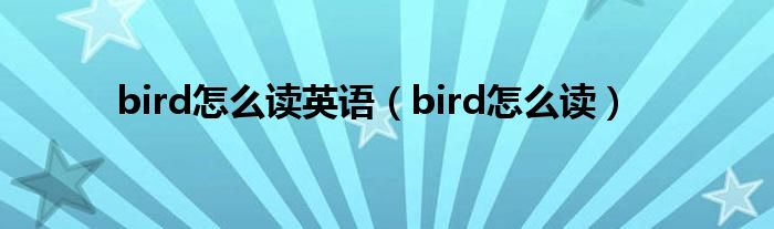 bird怎么读英语（bird怎么读）