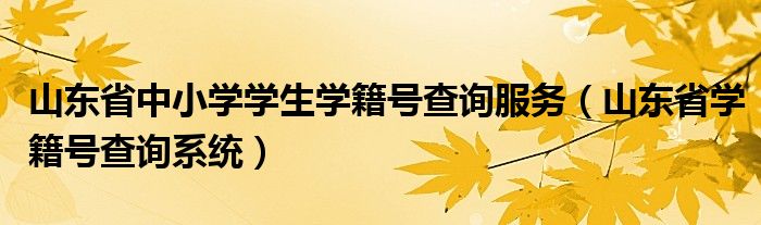 山东省中小学学生学籍号查询服务（山东省学籍号查询系统）