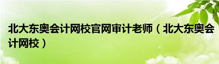 北大东奥会计网校官网审计老师（北大东奥会计网校）