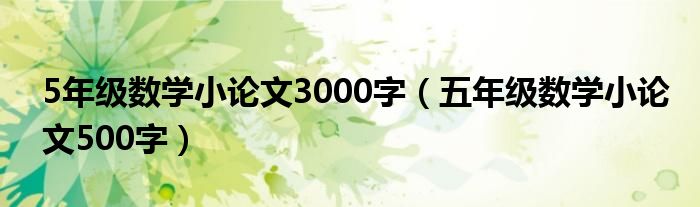 5年级数学小论文3000字（五年级数学小论文500字）