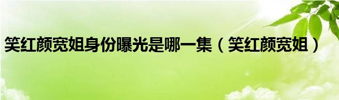 笑红颜宽姐身份曝光是哪一集（笑红颜宽姐）