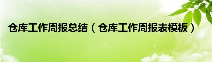 仓库工作周报总结（仓库工作周报表模板）