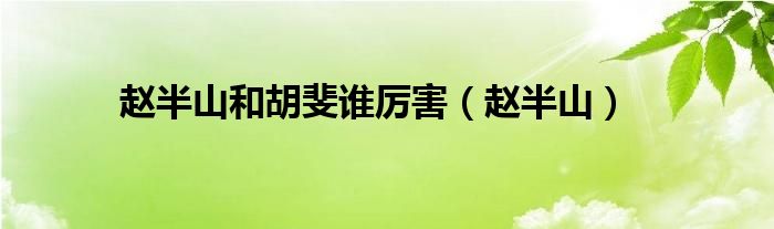 赵半山和胡斐谁厉害（赵半山）